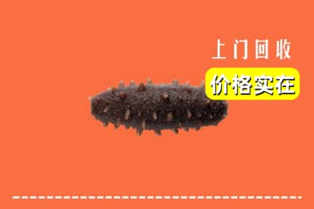 香坊区回收海参