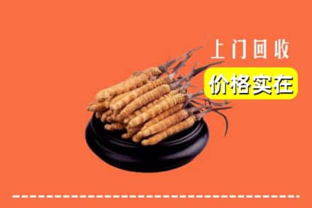 香坊区回收冬虫夏草