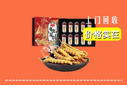 香坊区回收虫草